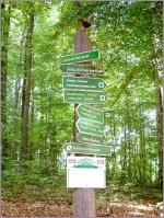 Biesnitz