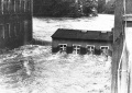 Hochwasser 3.jpg