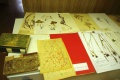 Naturkundemuseum Herbarium.jpg